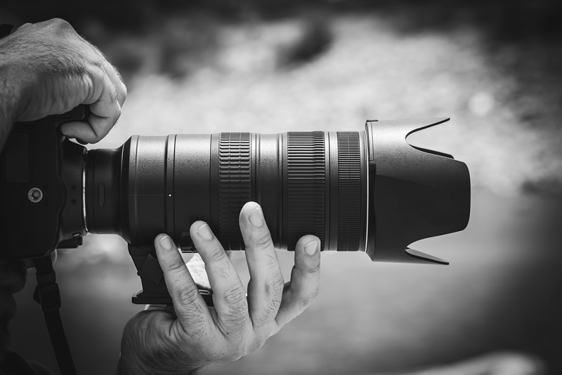 Online & Social Media Editor